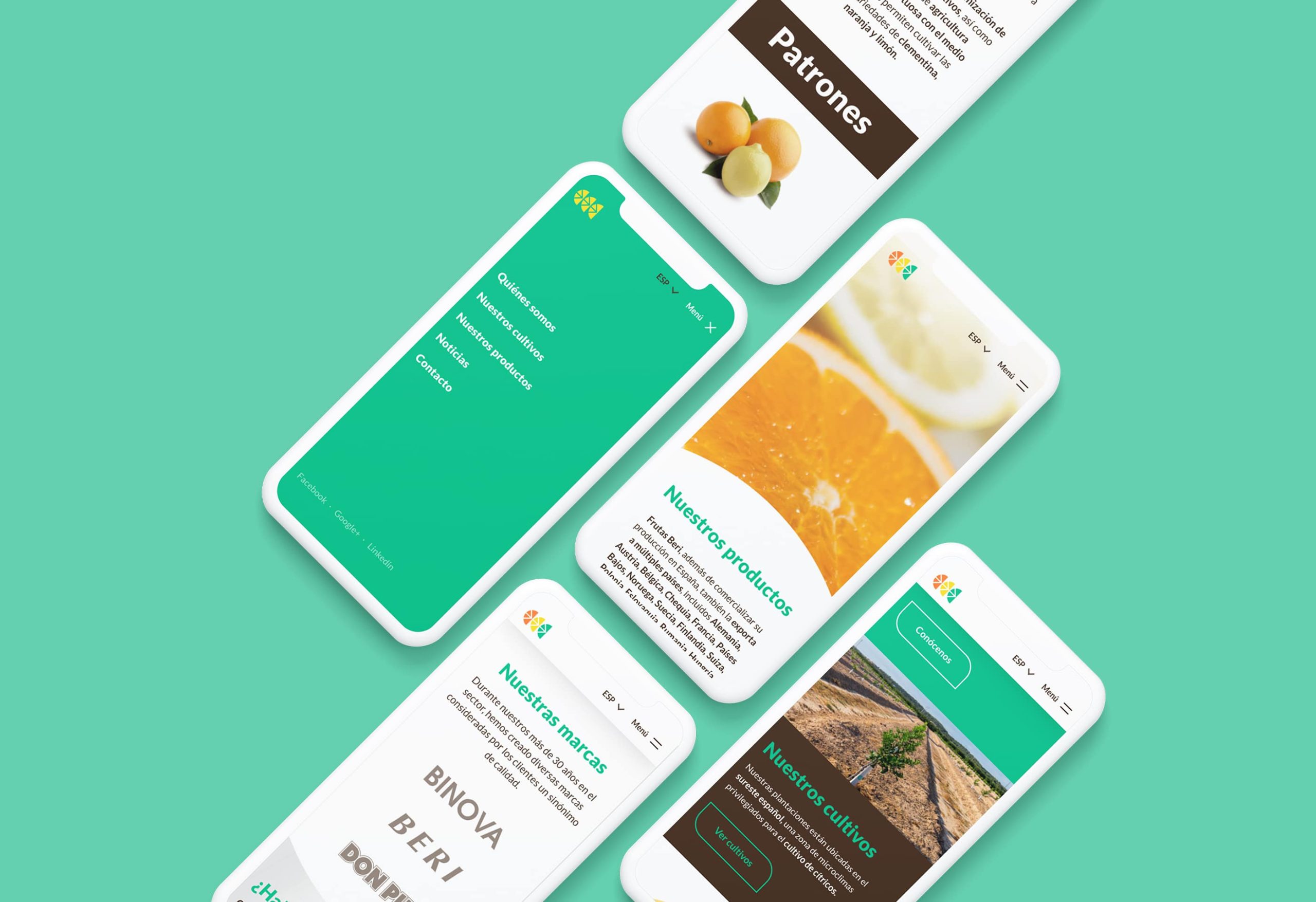 Diseño web realizado para Frutas Beri mostrado en varios móviles