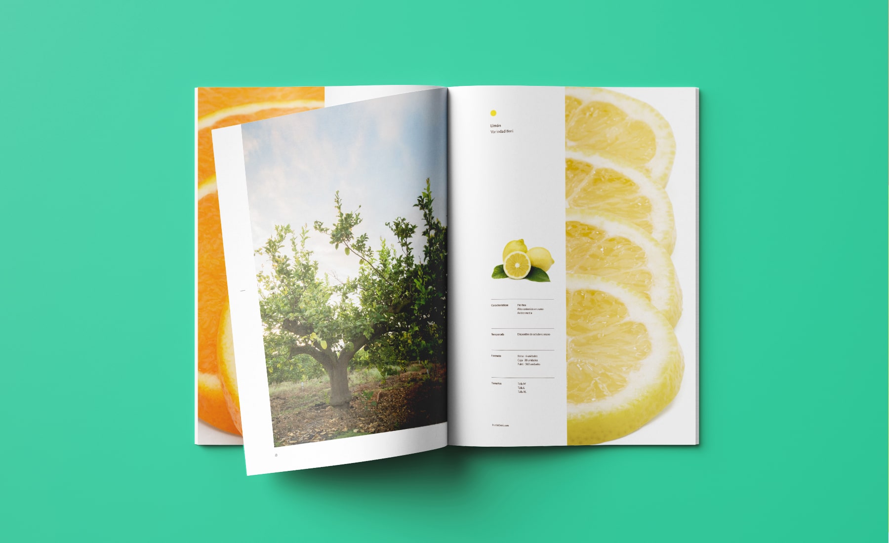 Diseño de catálogo realizado para Frutas Beri